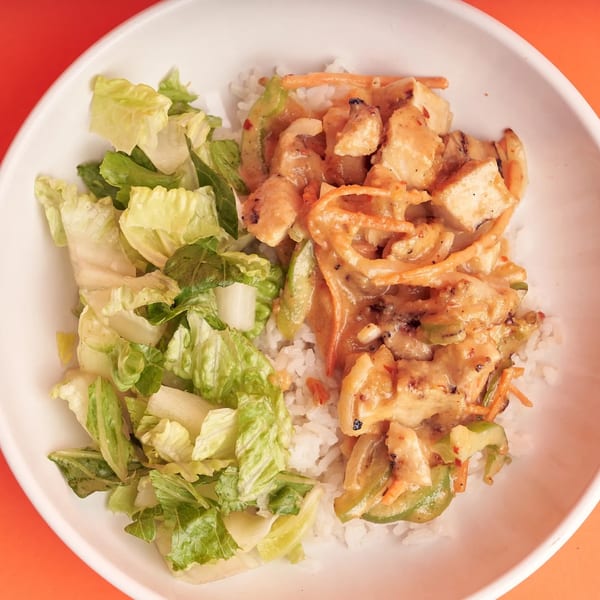 A white bowl filled with rice, creamy chicken and vegetables, and a side of fresh green lettuce.